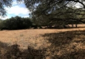 Terreny no urbanitzable en venda a la España, Vejer de la Frontera, ref.: TR114199 foto
