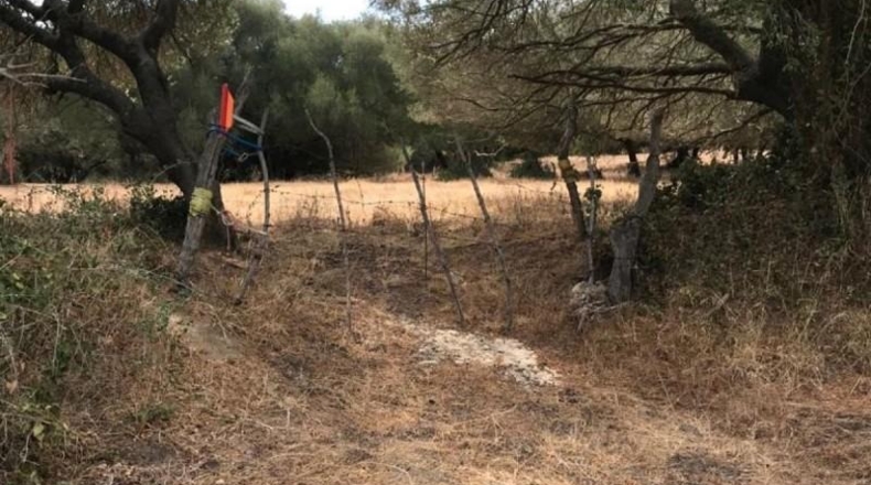 Cádiz - Vejer de la Frontera - 40000m2