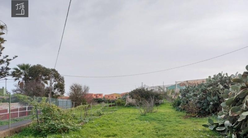 Santa Cruz de Tenerife - San Cristóbal de La Laguna - 1032m2