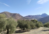 Terreny no urbanitzable en venda a la España, Antequera, ref.: TR124177 foto