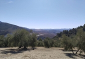 Terreny no urbanitzable en venda a la España, Antequera, ref.: TR124177 foto