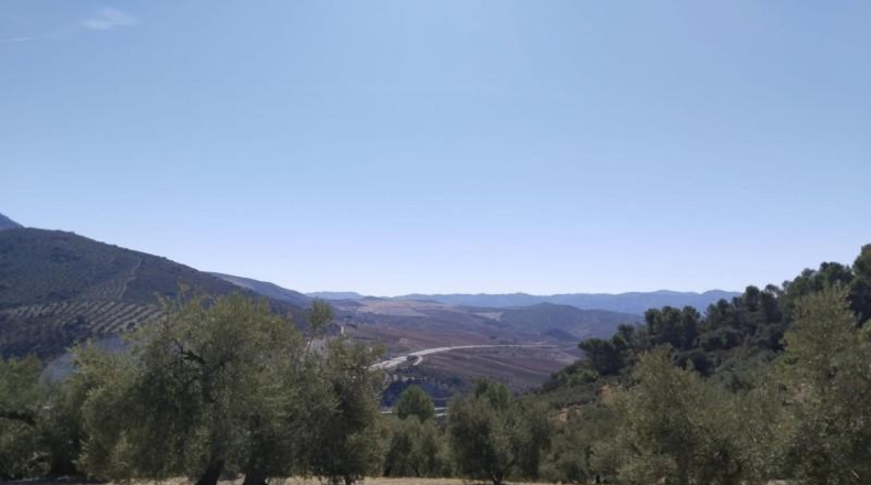 Málaga - Antequera - 100500m2
