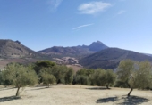 Terreny no urbanitzable en venda a la España, Antequera, ref.: TR124177 foto