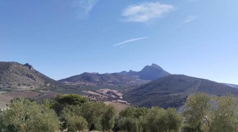 Málaga - Antequera - 100500m2
