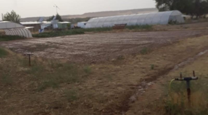 Palencia - Dueñas - 30000m2