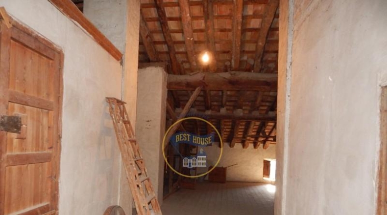 Alicante - Dolores - 524m2