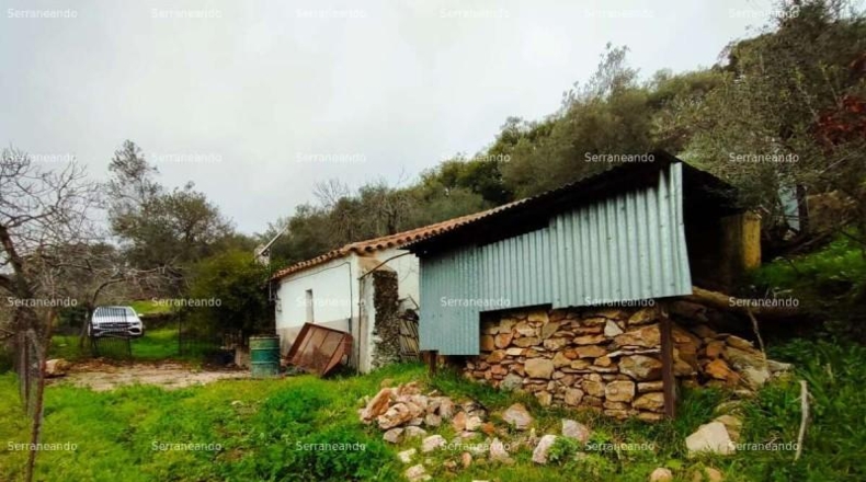 Huelva - Aracena - 8256m2