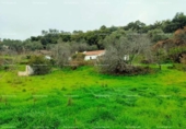 Non-developable land for sale on España, Aracena, ref: TR219308 photo