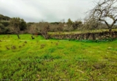 Non-developable land for sale on España, Aracena, ref: TR219308 photo