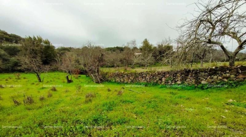 Huelva - Aracena - 8256m2