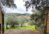 Non-developable land for sale on España, Aracena, ref: TR219308 photo