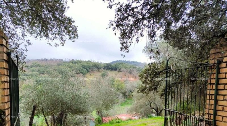 Huelva - Aracena - 8256m2