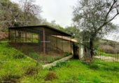 Non-developable land for sale on España, Aracena, ref: TR219308 photo