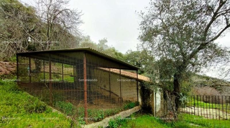 Huelva - Aracena - 8256m2