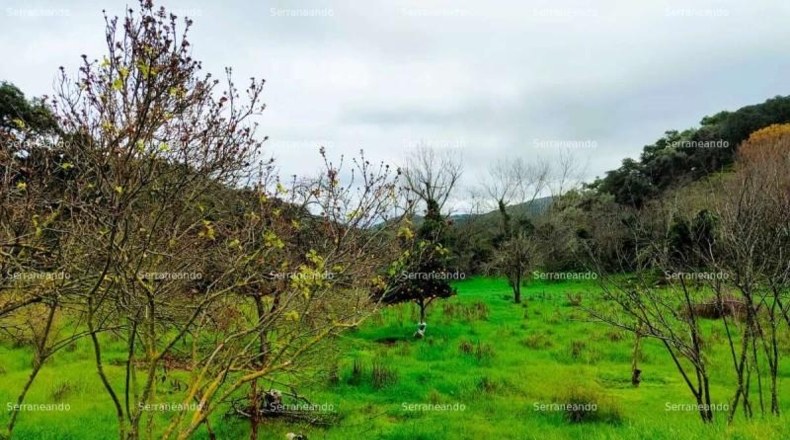 Huelva - Aracena - 8256m2