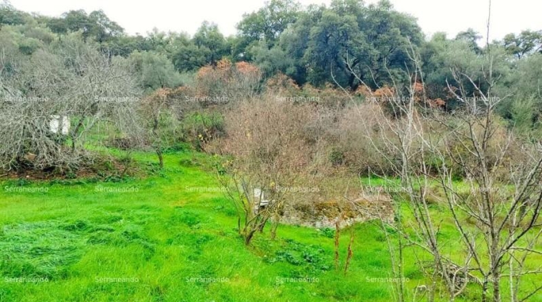 Huelva - Aracena - 8256m2