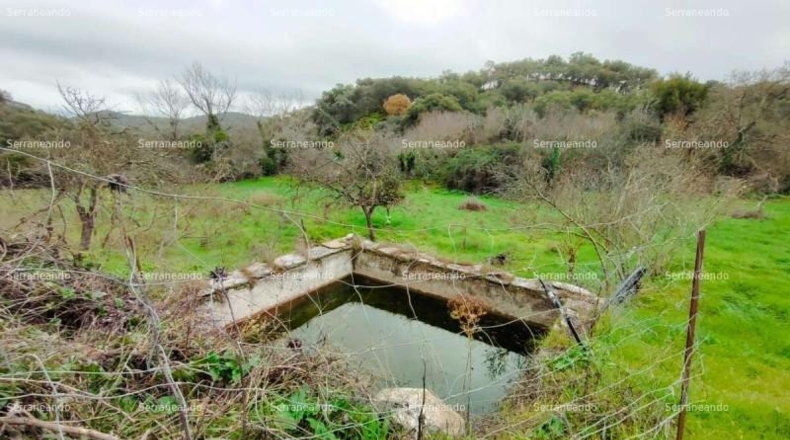 Huelva - Aracena - 8256m2