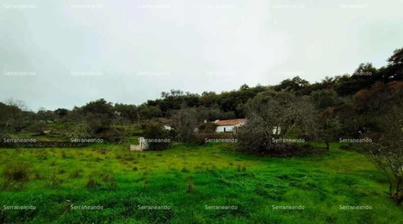 Huelva - Aracena - 8256m2