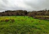 Non-developable land for sale on España, Aracena, ref: TR219308 photo