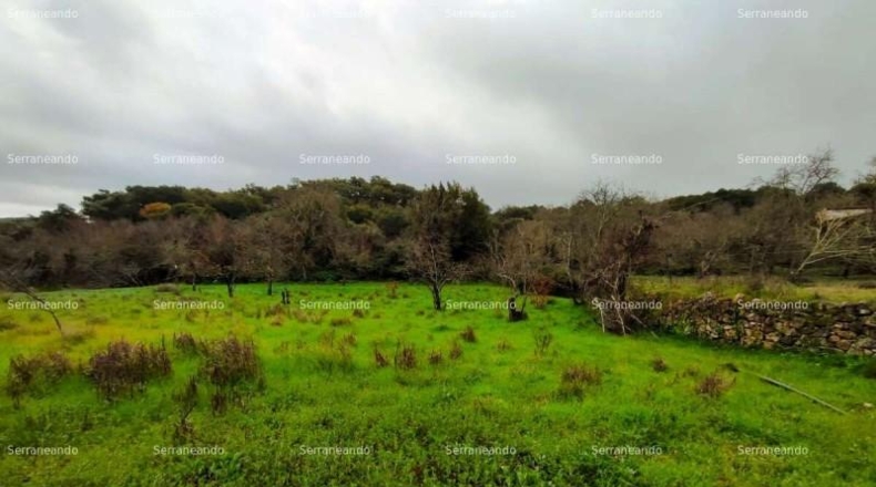 Huelva - Aracena - 8256m2