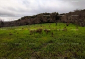 Non-developable land for sale on España, Aracena, ref: TR219308 photo