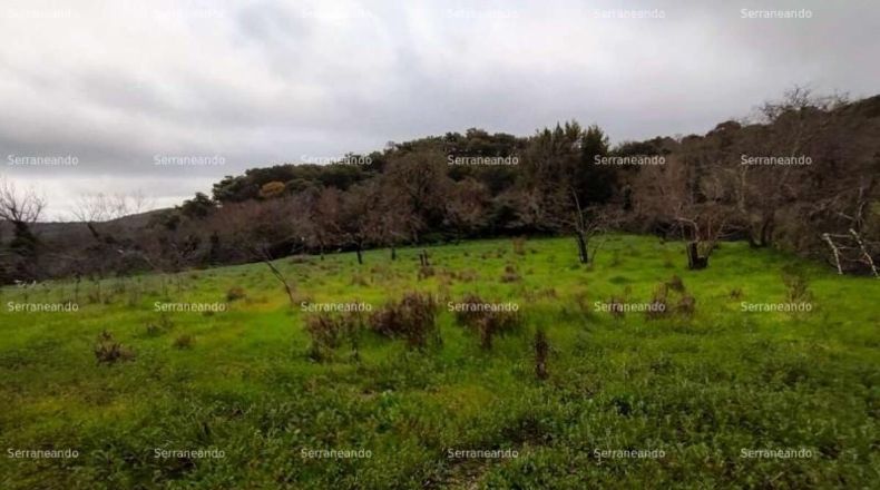 Huelva - Aracena - 8256m2