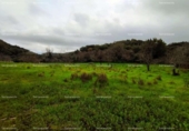 Non-developable land for sale on España, Aracena, ref: TR219308 photo