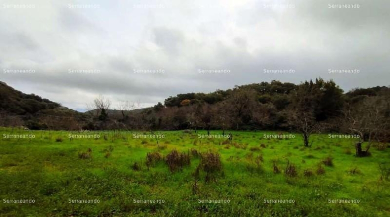 Huelva - Aracena - 8256m2