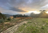 Non-developable land for sale on España, O Porriño, ref: TR198313 photo