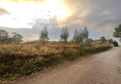 Non-developable land for sale on España, O Porriño, ref: TR198313 photo