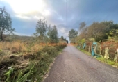 Non-developable land for sale on España, O Porriño, ref: TR198313 photo