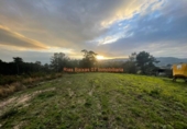 Non-developable land for sale on España, O Porriño, ref: TR198313 photo