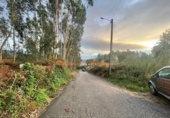 Non-developable land for sale on España, O Porriño, ref: TR198313 photo