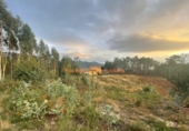 Non-developable land for sale on España, O Porriño, ref: TR198313 photo