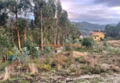 Non-developable land for sale on España, O Porriño, ref: TR198313 photo