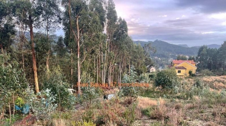 Pontevedra - Porriño - 10280m2