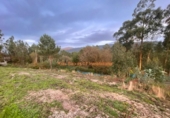 Non-developable land for sale on España, O Porriño, ref: TR198313 photo