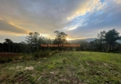 Non-developable land for sale on España, O Porriño, ref: TR198313 photo