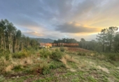 Non-developable land for sale on España, O Porriño, ref: TR198313 photo