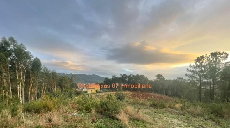 Pontevedra - Porriño - 10280m2