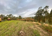 Non-developable land for sale on España, O Porriño, ref: TR198313 photo