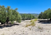 Terreny no urbanitzable en venda a la España, Lucena, ref.: TR242166 foto