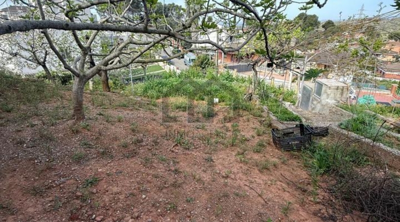 Barcelona - Castellbisbal - 775m2