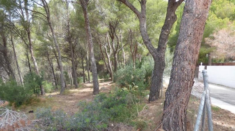 Аликанте - Altea - 10000m2