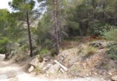 Terreny no urbanitzable en venda a la España, Altea la Vella, ref.: TR280791 foto