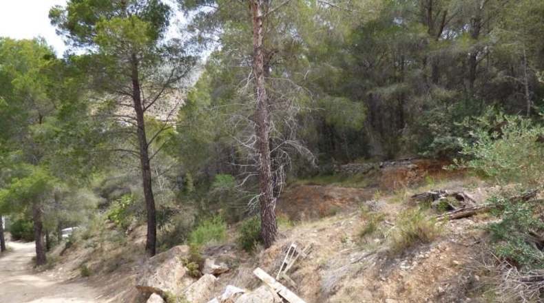 Аликанте - Altea - 10000m2