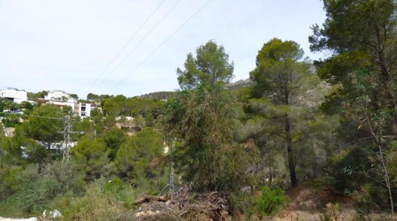 Аликанте - Altea - 10000m2