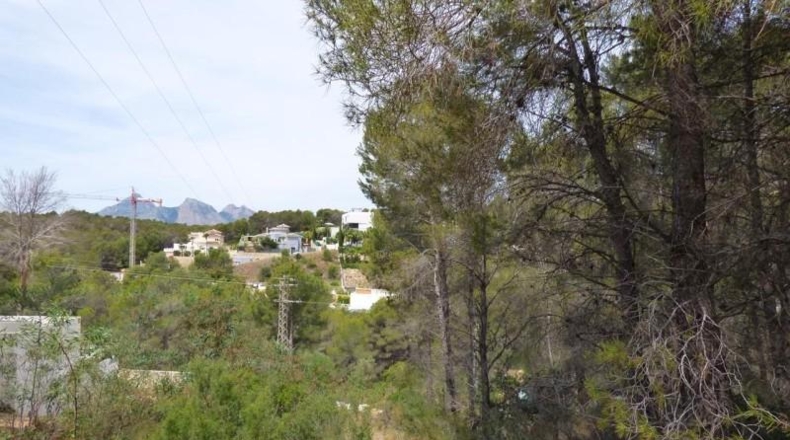 Аликанте - Altea - 10000m2