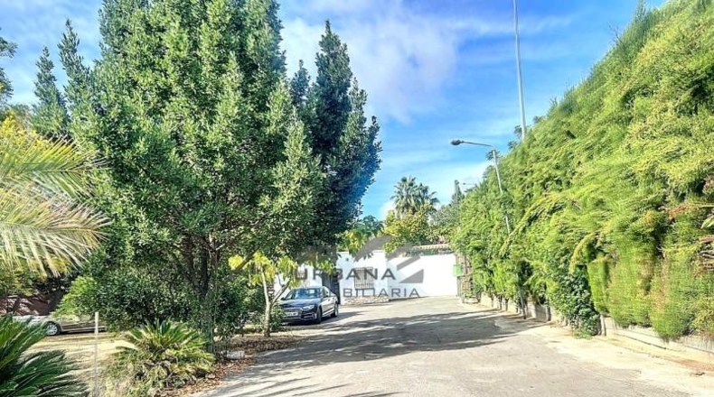Córdoba - Lucena - 1500m2