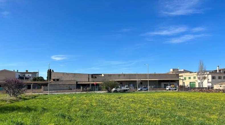 Balearic Islands - Porreras - 1160m2